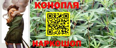 mix Можга