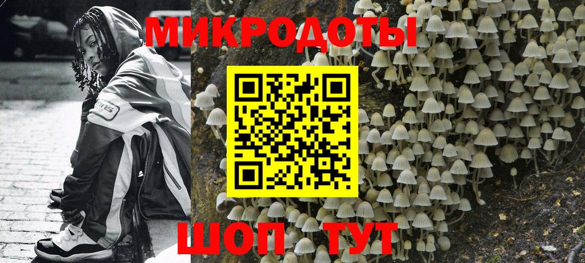 Псилоцибиновые грибы мухоморы Чита